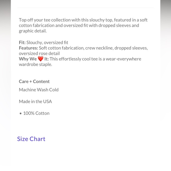 Free People The Bureau Wild Rose Oversized Tee - Picture 5 of 5